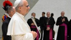 Pope Leo XIV meets with Catholic religion teachers on April 25, 2026
