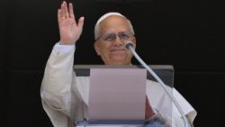 Pope Leo at this Sunday's Regina Coeli