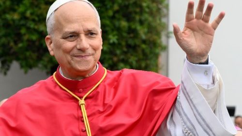 Rocznica wyboru Leona XIV: 50 audiencji, apele, pielgrzymki