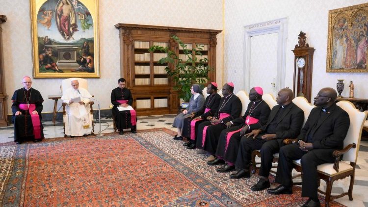 Leone XIV riceve i membri del Consiglio di Amministrazione della Fondazione Giovanni Paolo II per il Sahel