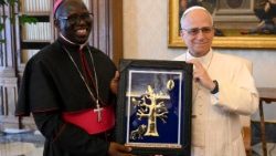 Pope Leo XIV during audience with members of the JPII Sahel Foundation