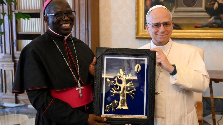 Pope Leo XIV during audience with members of the JPII Sahel Foundation