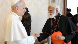 2026.05.15 Vescovi del Pakistan in Visita ad Limina Apostolorum