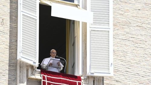 Papa na Semana Laudato si': cuidar da paz &eacute; cuidar da vida