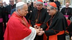 Baba Mtakatifu Leo XIV, Jumamosi tarehe 23 Mei 2026 amefanya hija ya kichungaji eneo la Acerra, maarufu kama "Terra dei Fuochi" 
