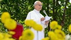 2026.05.23 Visita Pastorale ad Acerra