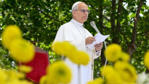 Papst fordert Umdenken in Acerra: „Das Gemeinwohl vor Profit stellen“