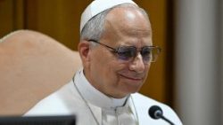 Papa Leão na promulgação da Carta Encíclica "Magnifica humanitas"