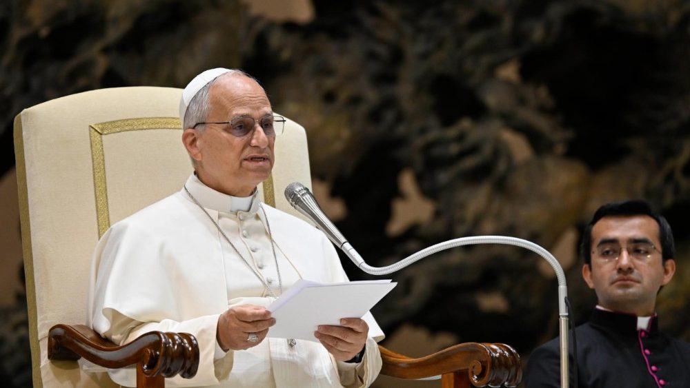 2026.05.30 Membri del Rinnovamento Carismatico Cattolico