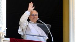 2026.05.31 Angelus