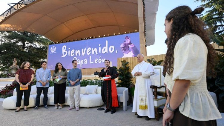 Pope Leo's vigil with young people in Madrid