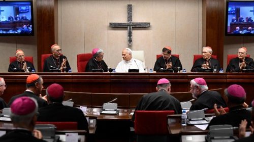 El Papa Le&oacute;n XIV pide a los obispos espa&ntilde;oles ser “testimonio de unidad”