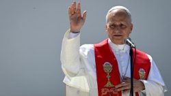 Papst Leo XIV.