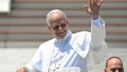 Pope Leo XIV at Wednesday General Audience
