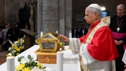 P&aacute;pežova hom&iacute;llia v Pavii: Všetko vr&aacute;tiť do stredu, vych&aacute;dzať z Uholn&eacute;ho kameňa 