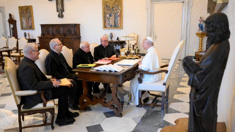 Des évêques français en compagnie du Pape Léon XIV. 