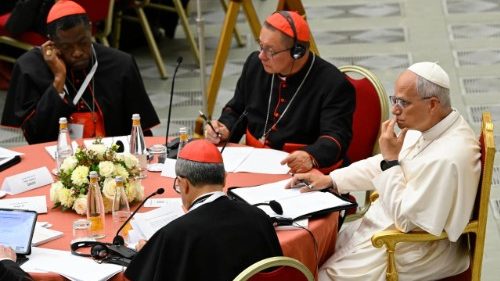 Kardin&auml;le beraten &uuml;ber Lage der Kirche weltweit