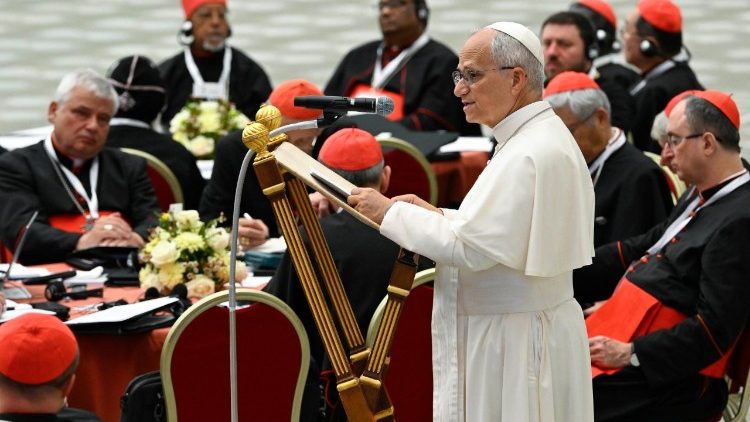 El Papa Le&oacute;n se dirige a los cardenales reunidos en el Aula Pablo VI para el Consistorio