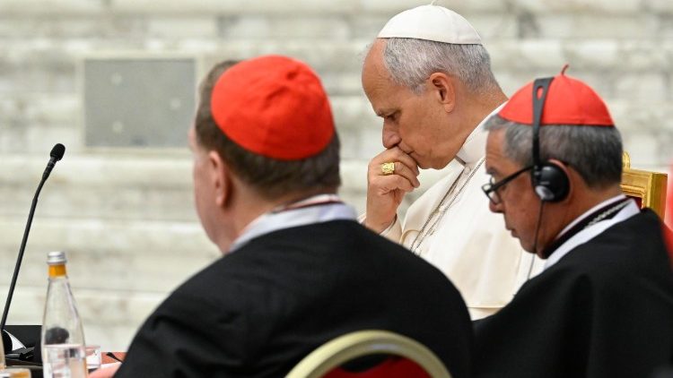 Papa Leone durante la sessione introduttiva del Concistoro