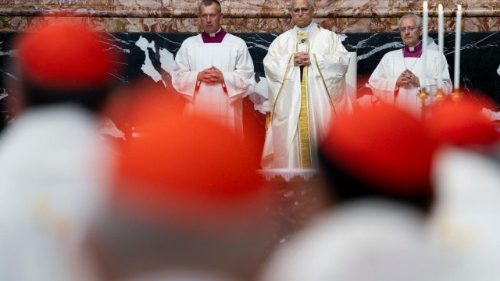 Papst ermutigt Kardin&auml;le zu Mitarbeit bei Leitung der Kirche