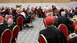 Cardinals gather with Pope Leo during the third session of the Consistory