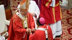 2026.06.29 Santa Messa nella SolennitÃ  dei SS Pietro e Paolo con la benedizione e lâ  imposizione dei Palli ai nuovi Arcivescovi Metropoliti