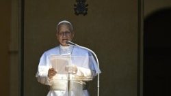 Pápež Lev XIV.