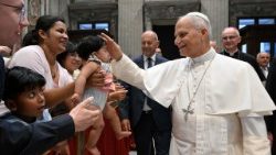 Papst Leo bei der Generalaudienz