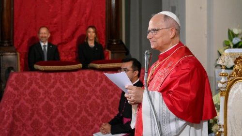 Le&oacute;n XIV: En un mundo herido por conflictos respondamos con solidaridad