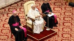 Papst Leo bei der Generalaudienz an diesem Mittwoch