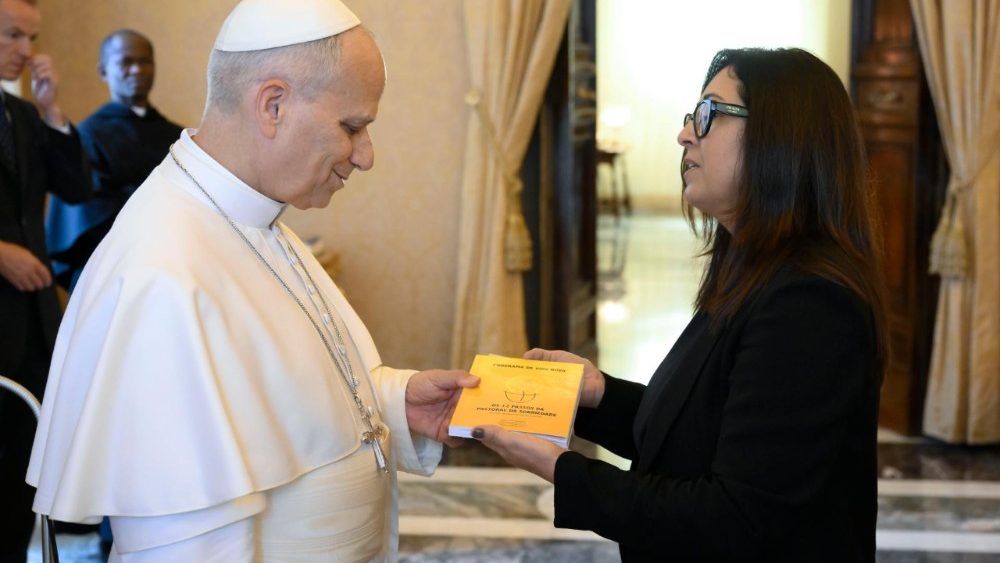 2026.08.27 Partecipanti allâ  Incontro promosso dalla Pontificia Commissione per lâ  America Latina sulle situazioni di dipendenza in America Latina