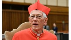 Kardinal Maurice Piat - Mauritius 