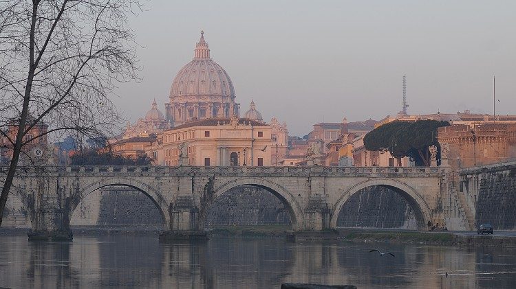 Panoramica cupola San Pietro
