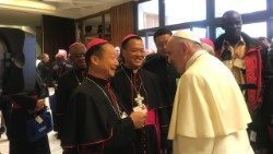 File photo of Pope Francis with some Chinese bishops