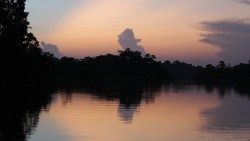 Crepúsculo na Amazônia