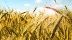 Ілюстрацыйнае фота