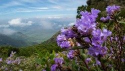 எழில் நிறைந்த இயற்கை 