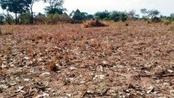 2019.08.07 Siccità e fame nel sud di Angola, terra arida in Africa