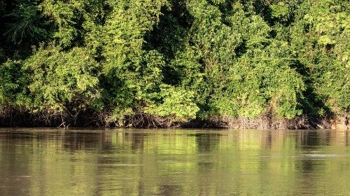 Baraza la Maaskofu Katoliki Brazil, CNBB, tarehe 5 Machi 2025 limezindua Kampeni ya 61 ya Kwaresima ya Udugu wa Kibinadamu 