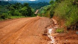 Kuna umuhimu wa kutengeneza barabara ili kusaidia wananchi wa Wilaya ya Kyerwa,Mkoa wa Kagera ili kupata usafiri mzuri.