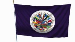 Das Siegel der OAS mit den Flaggen aller Mitgliedsstaaten, die in einem weißen, goldgeränderten Kreis angeordnet sind – Symbol für die Einheit der amerikanischen Staaten