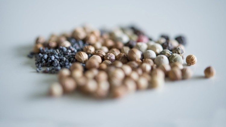 Apostoli so rekli Gospodu: »Pomnôži nam vero!« Gospod pa je rekel: »Če bi imeli vero kakor gorčično zrno, bi rekli tej murvi: ›Izruj se s koreninami vred in se presadi v morje,‹ in bi vam bila pokorna.