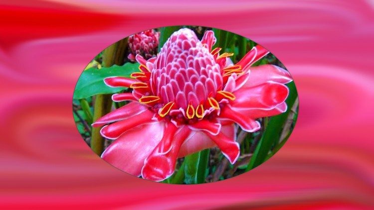 Siku ya wanawake duniani 8 Machi 2026