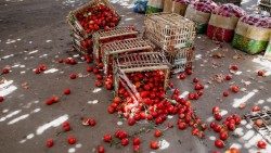 El desperdicio de alimentos continúa aumentando en todo el mundo