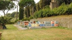 Bienenstöcke im Park der ehemaligen Papstresidenz Castelgandolfo