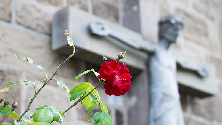 2020.06.07 Vangelo del giorno Crocifisso risurrezione vita