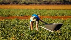 Svatý stolec: Člověk má zůstat v centru všech rozvojových strategií, a obchod a hospodářský růst nejsou cílem samy o sobě.