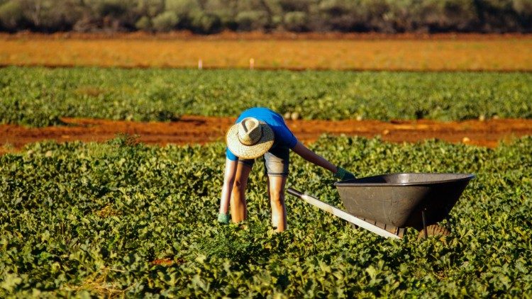 Svatý stolec: Člověk má zůstat v centru všech rozvojových strategií, a obchod a hospodářský růst nejsou cílem samy o sobě.