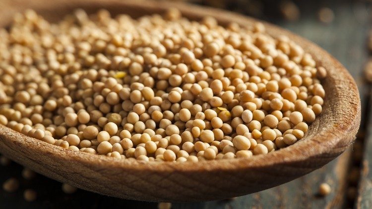 Евангелие за XXVII Обикновена неделя през годината