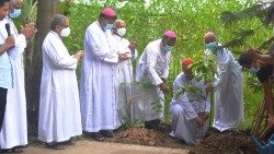 Kardinolas P. D‘Rozario ir vyskupai sodina medžius